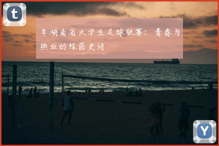 年湖南省大学生足球联赛:青春与热血的绿茵史诗