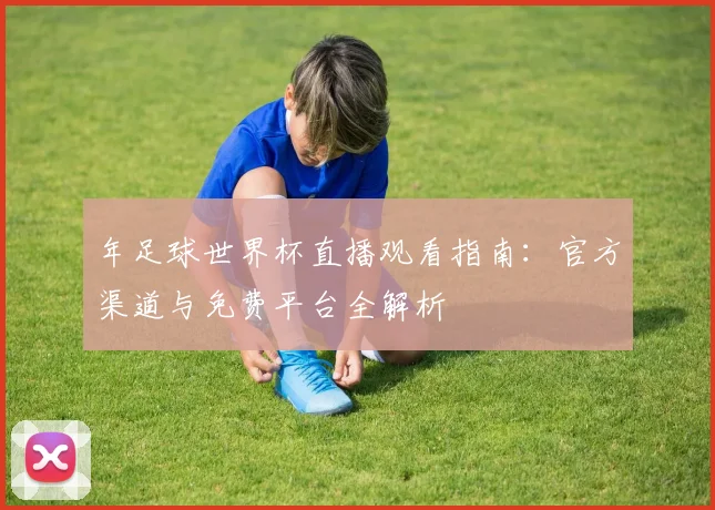 年足球世界杯直播观看指南：官方渠道与免费平台全解析