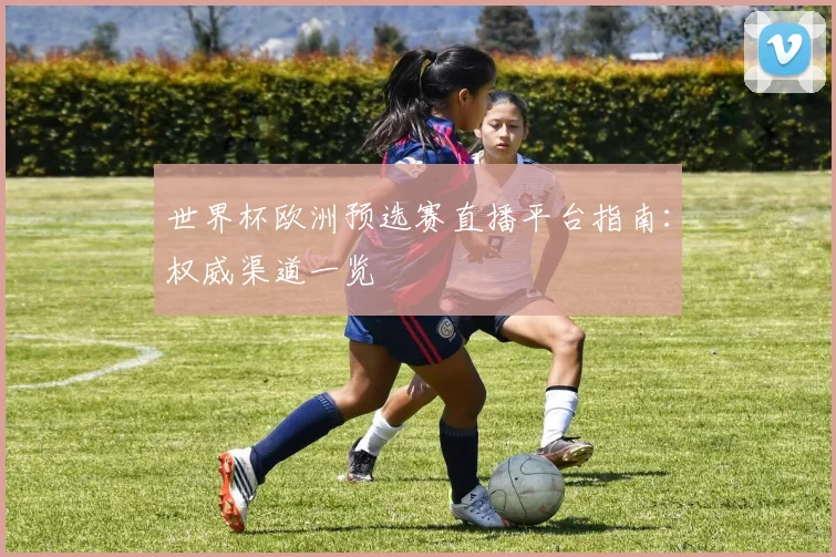 世界杯欧洲预选赛直播平台指南：权威渠道一览